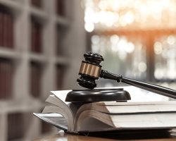 constitutional-case constitutional-case