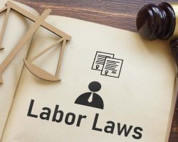 labour & employment law